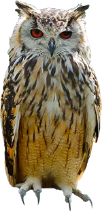 ペットショップ 動物病院